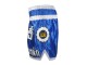 Lumpinee Muay Thai Box Short : LUM-015